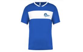 Surmaillot bicolore 